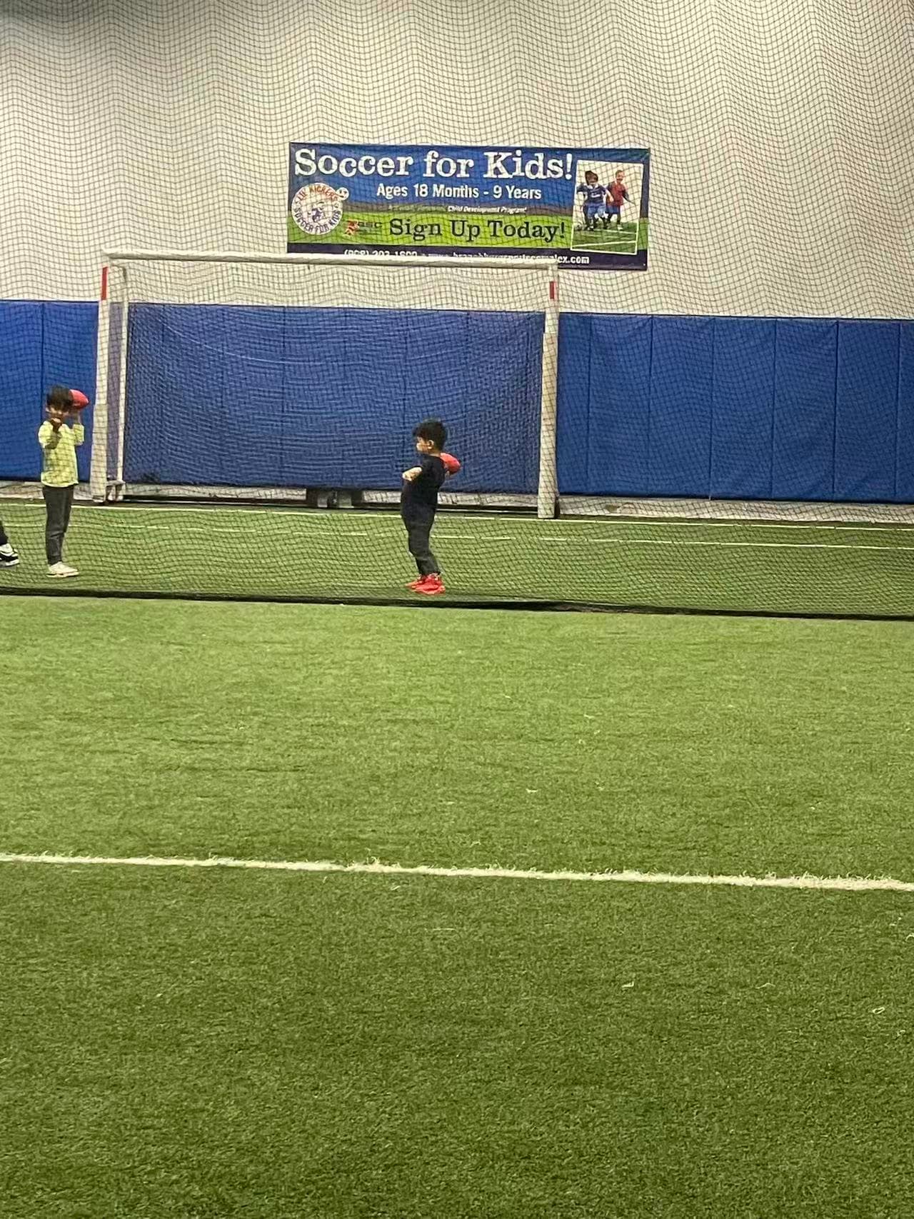 Ball Sports